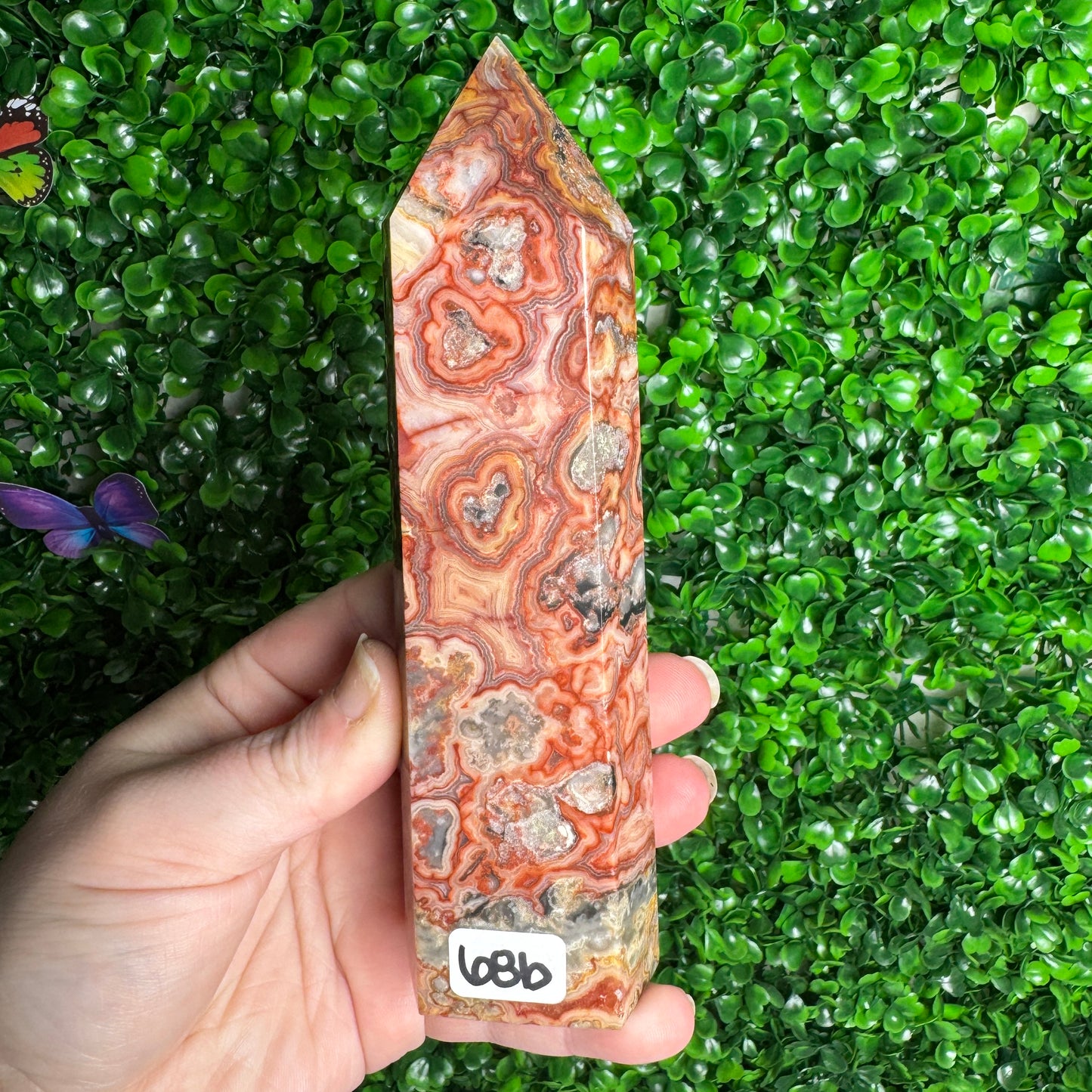 Large Crazy Lace Towers