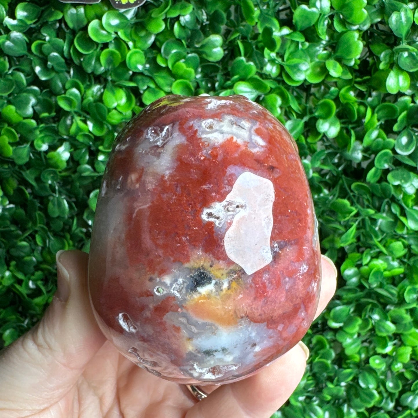 Druzy pink Sea Jasper Skull Carving