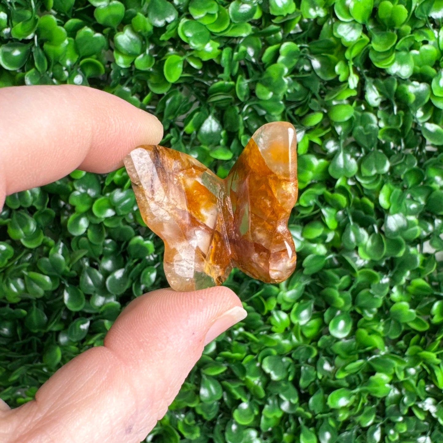 Golden healer butterfly carving