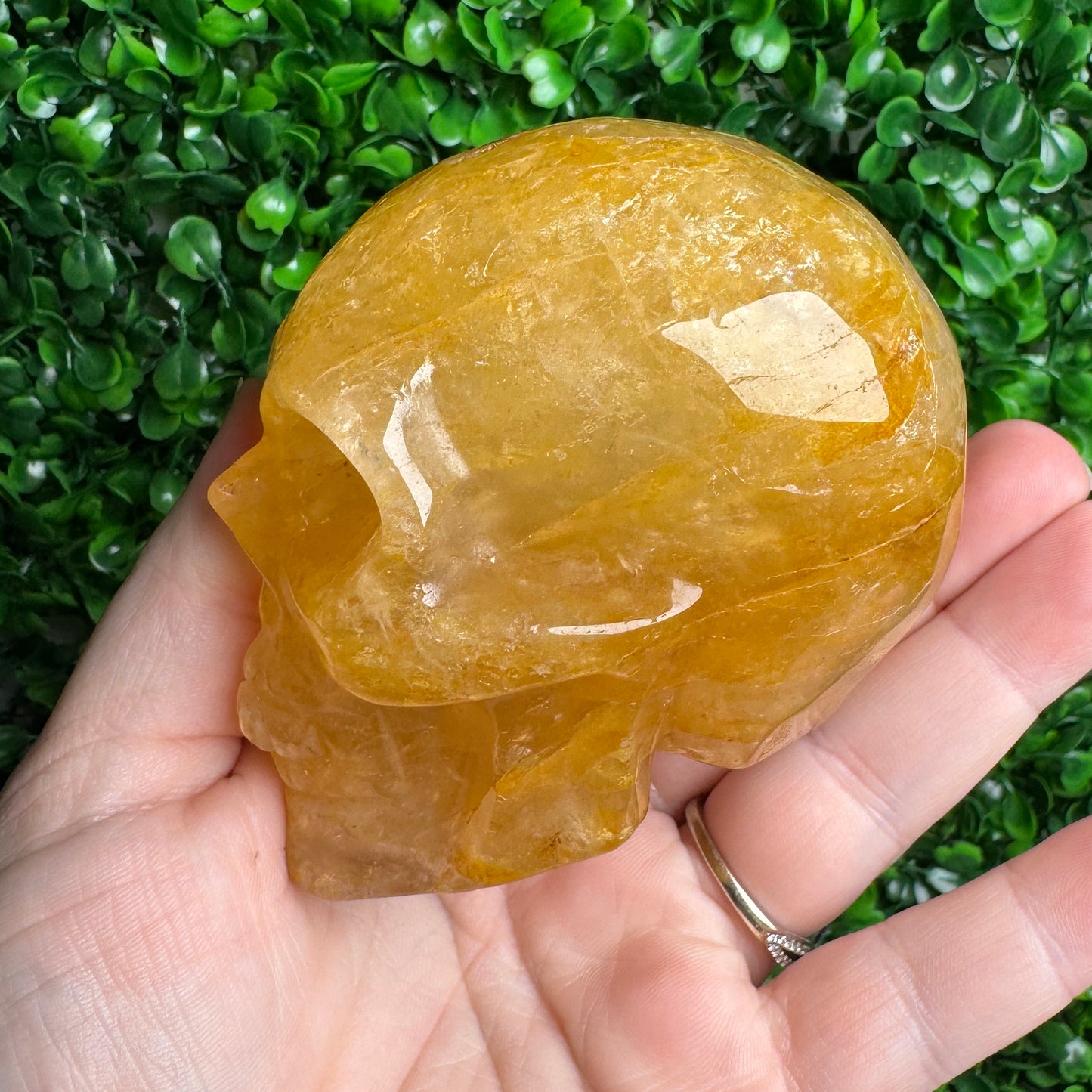 Golden healer Skull