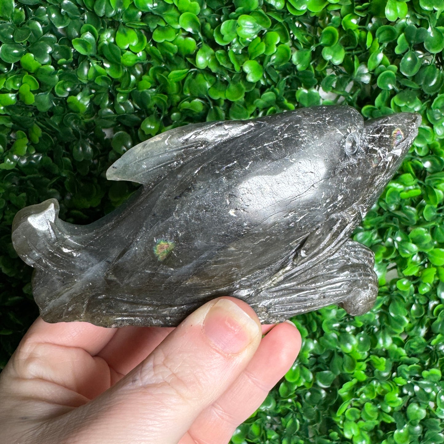 Labradorite Dolphin Carving