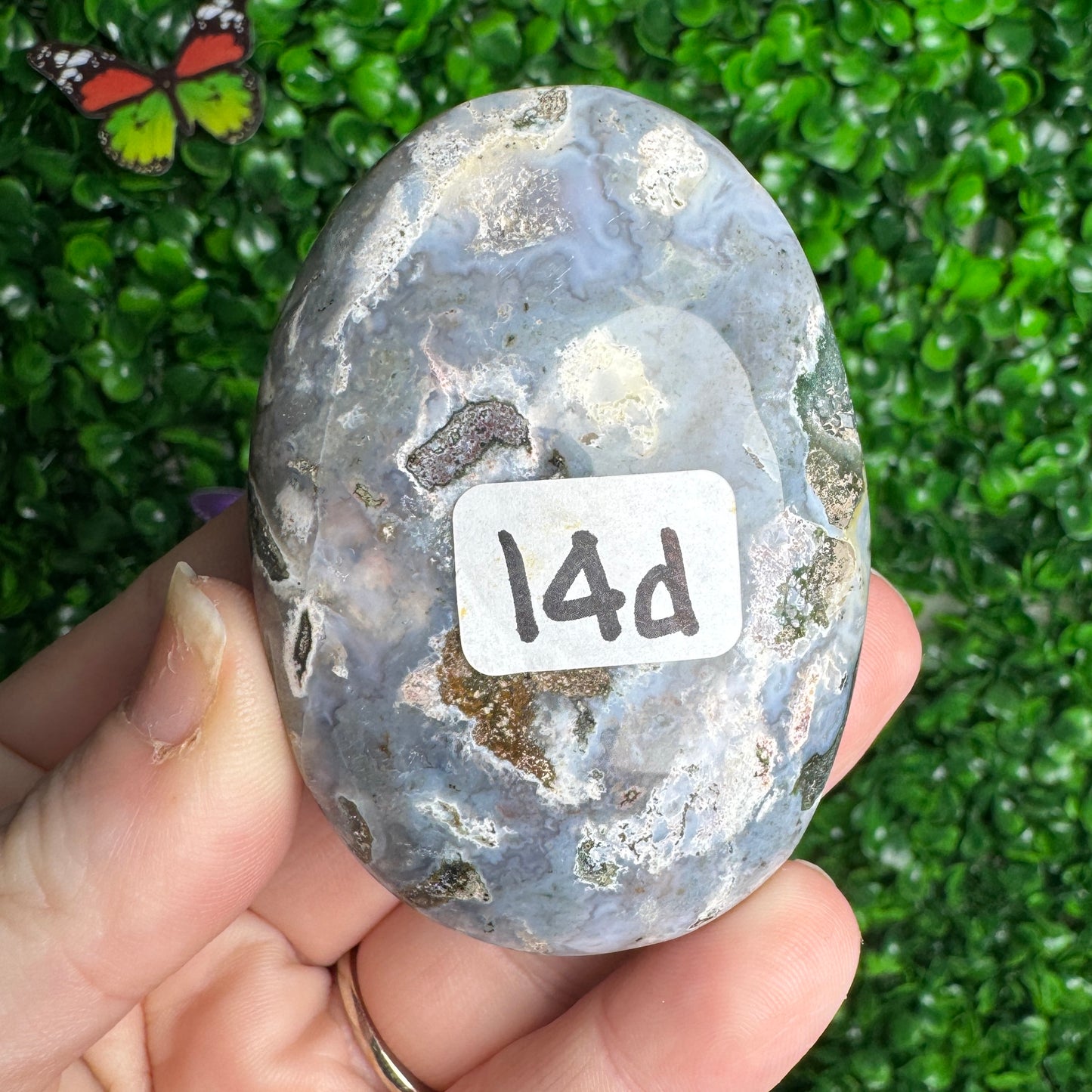 Sea Jasper Palm stones