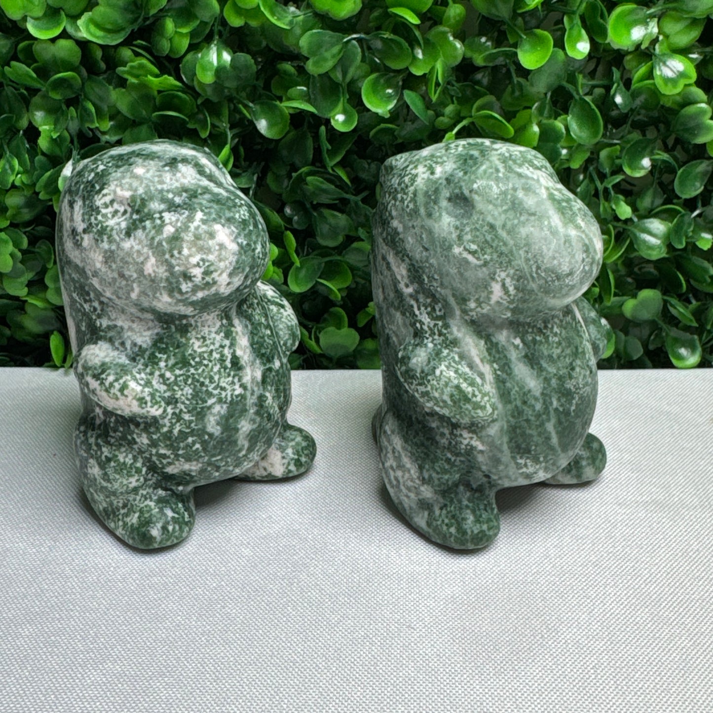 Large Tree Agate Chubby Dino