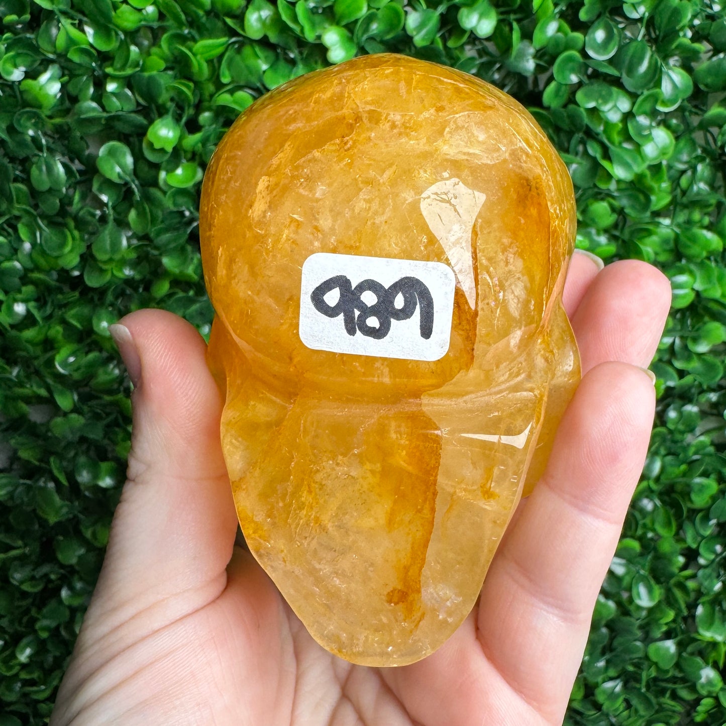 Golden healer Skull