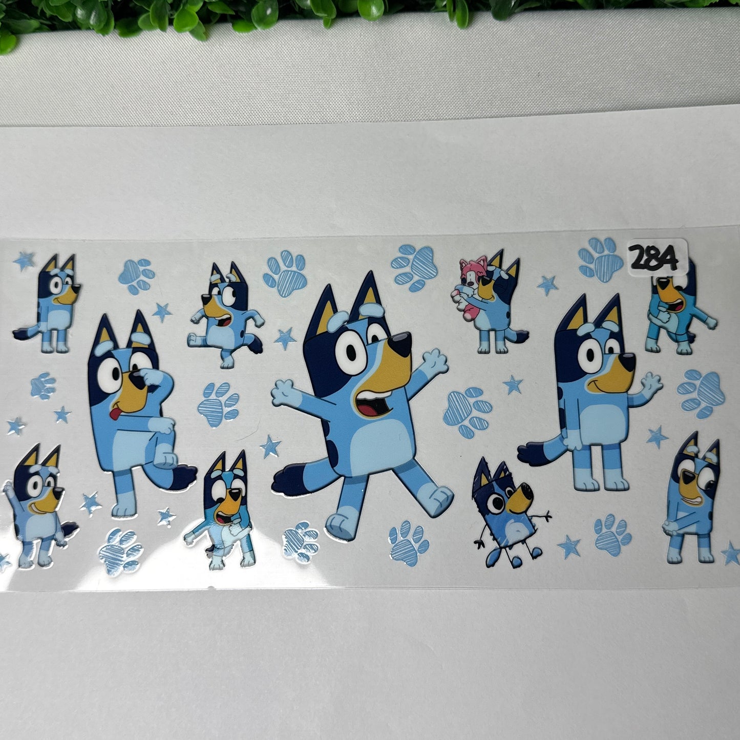 Blue Dog UVDTF Cup Wraps