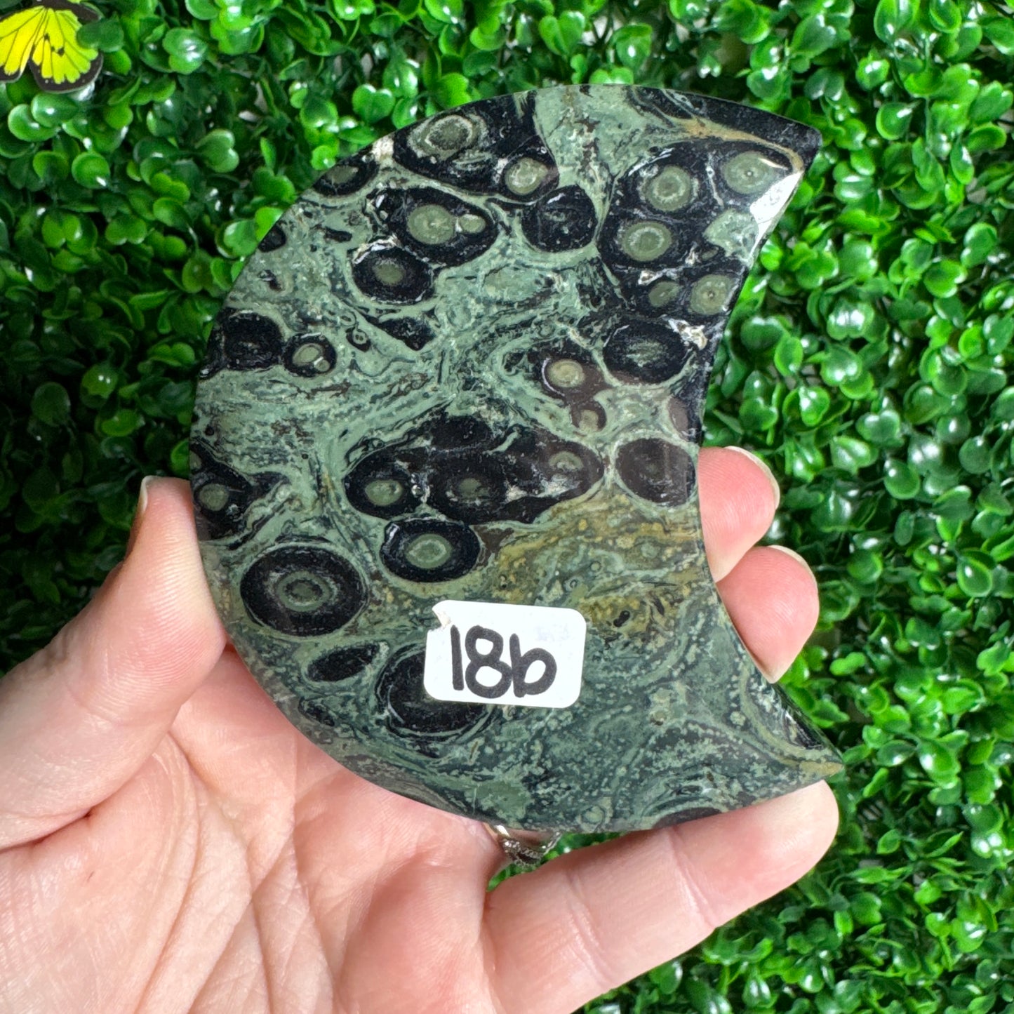 Kambaba Jasper Moon Carvings