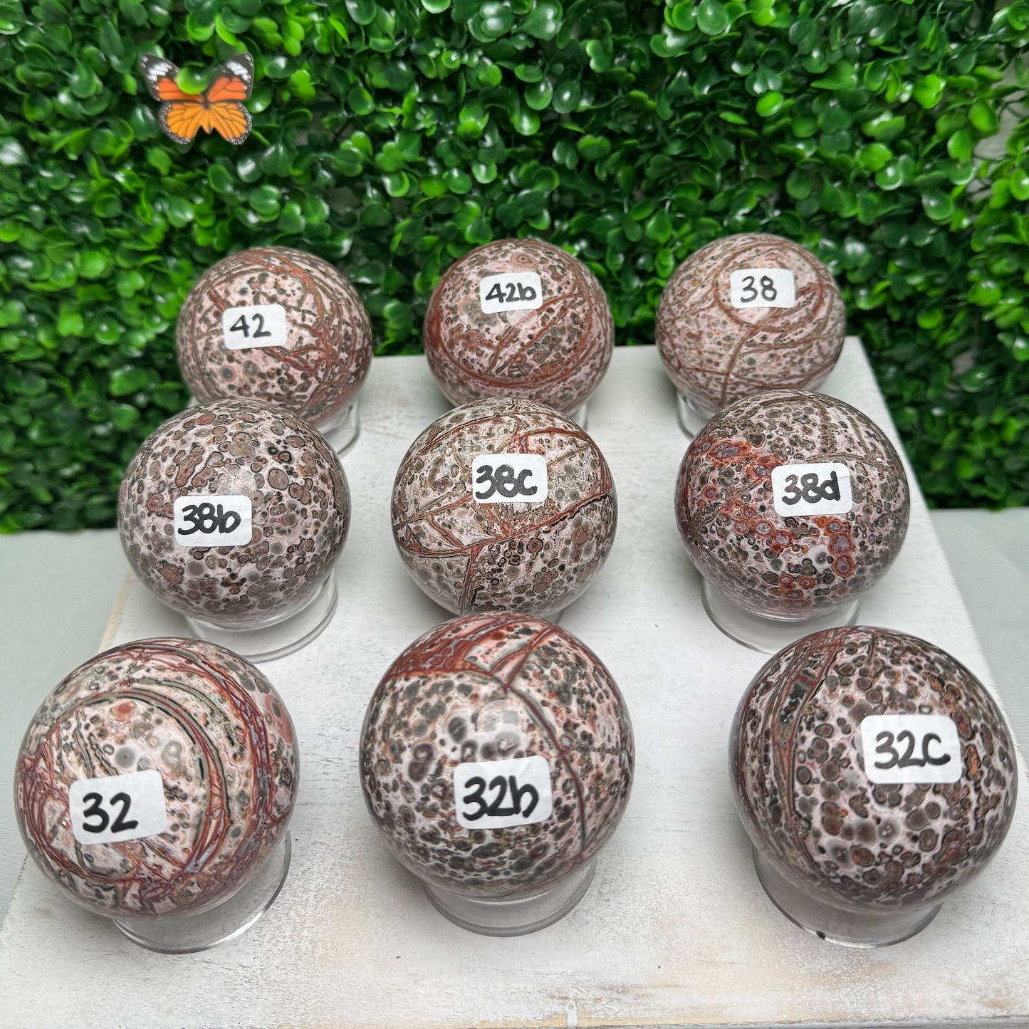 Leopard Skin Jasper Spheres