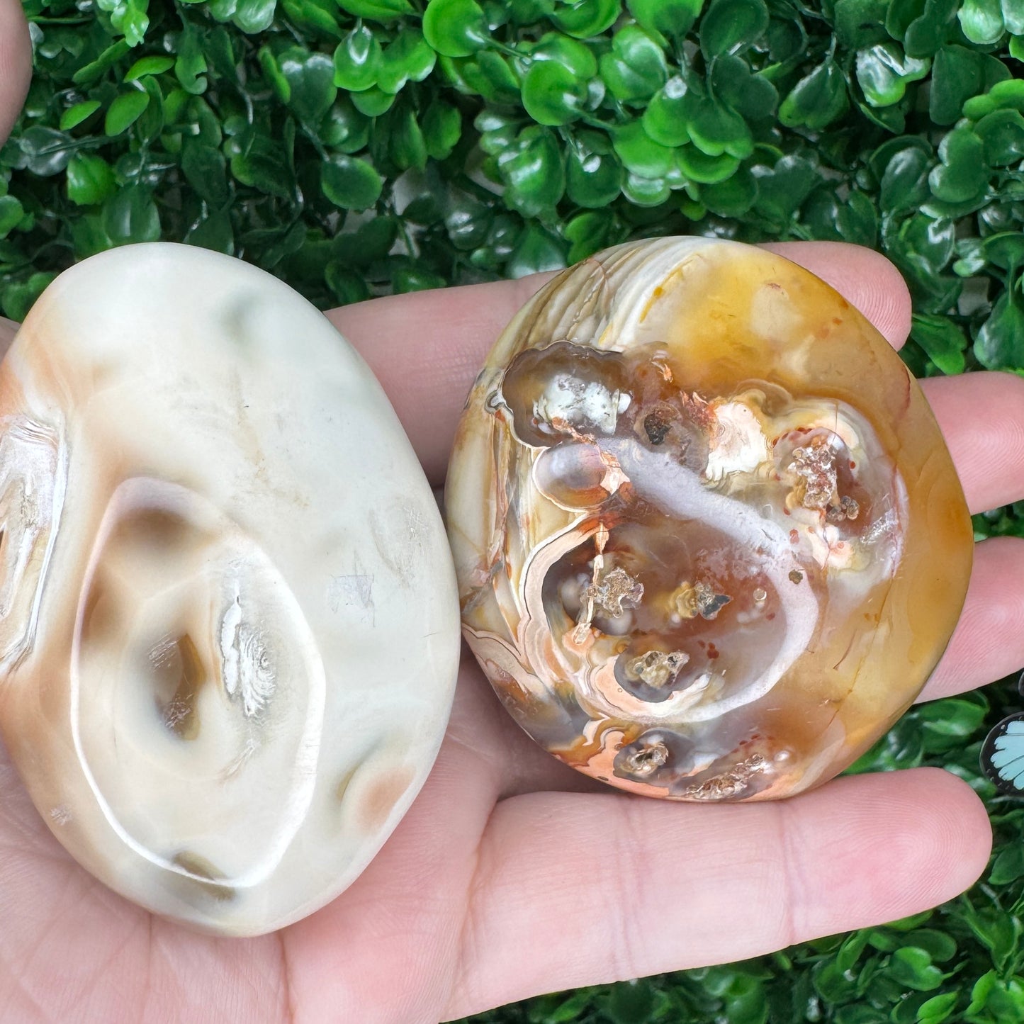 Carnelian Orca Agate Palm Stone