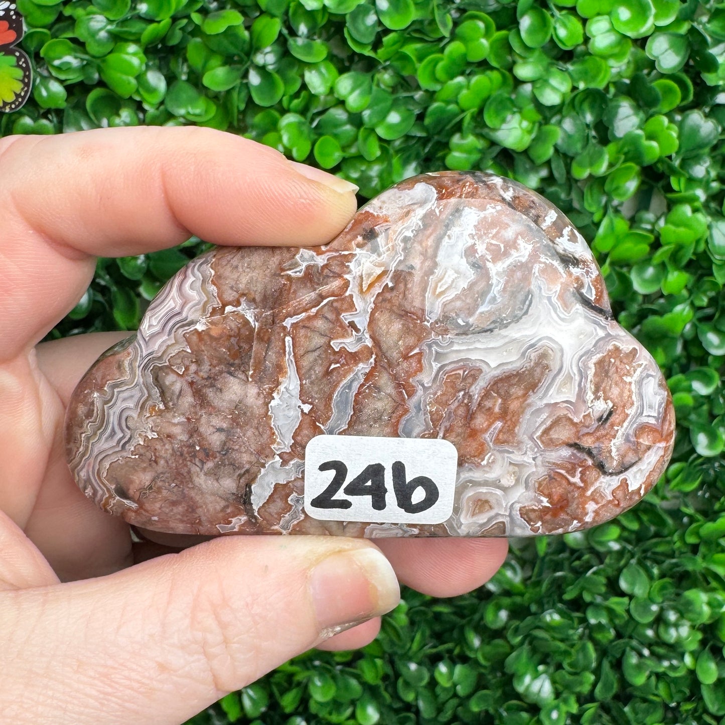 Sangria Lace Cloud Carving