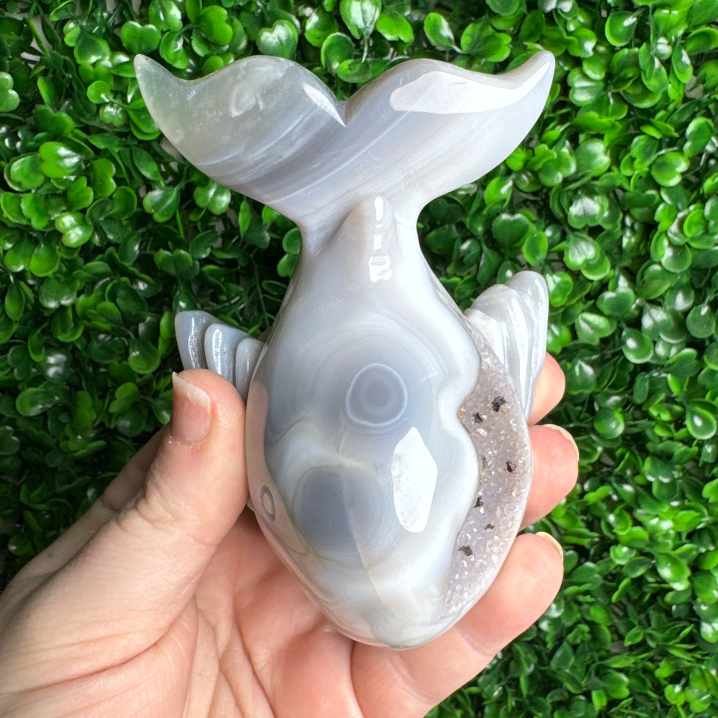 Druzy agate Whale Carving