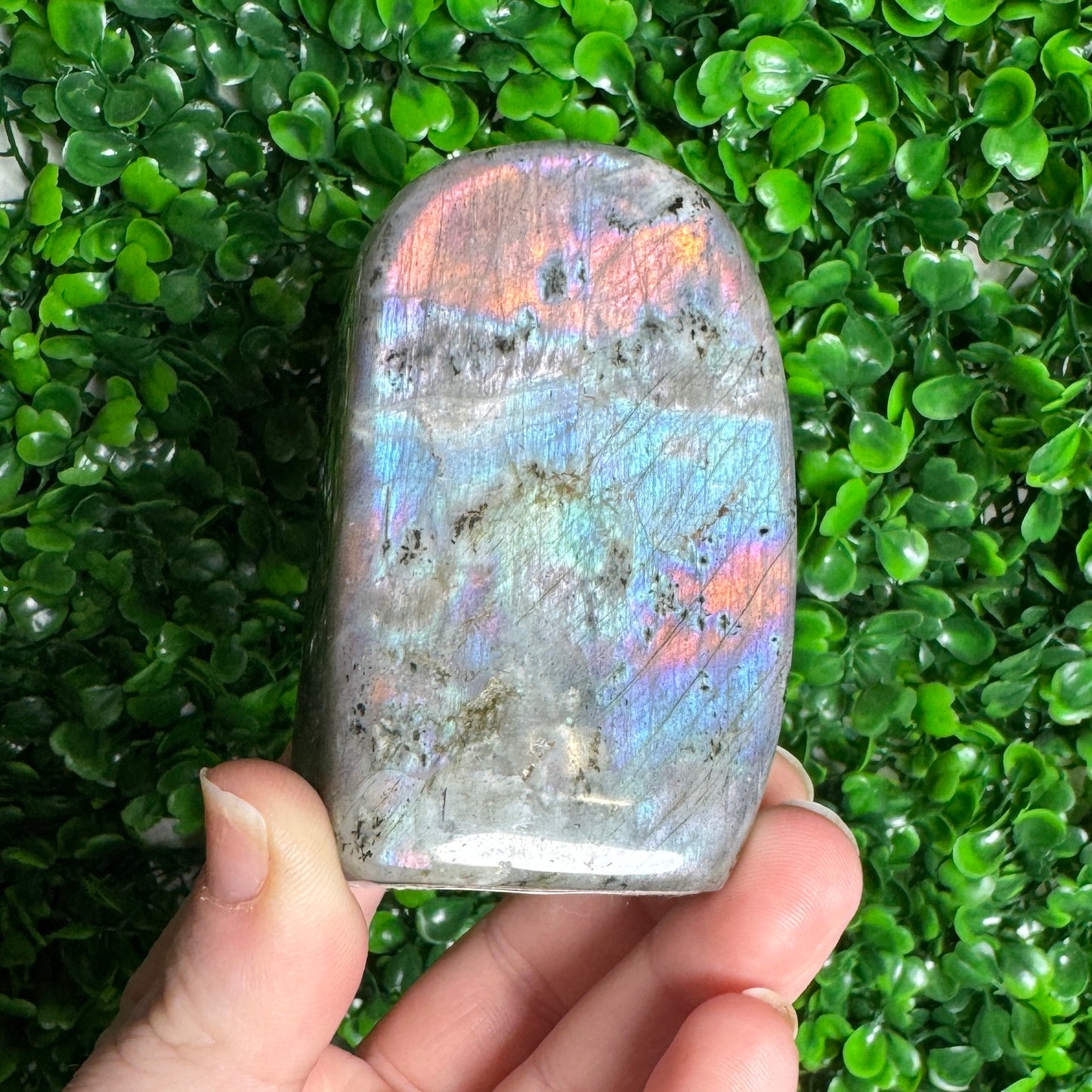 Labradorite Freeform 36