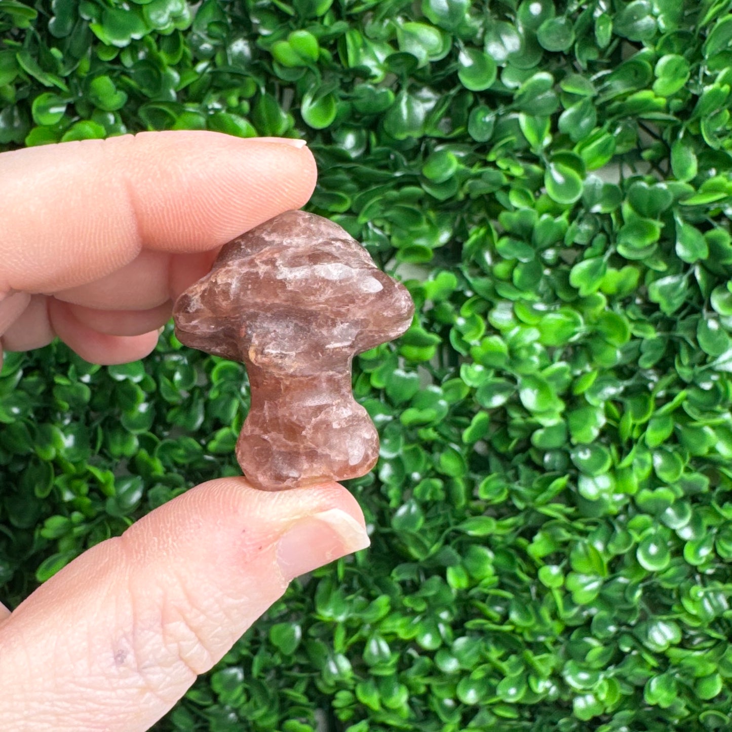 Mini Muhsroom Lady bodies