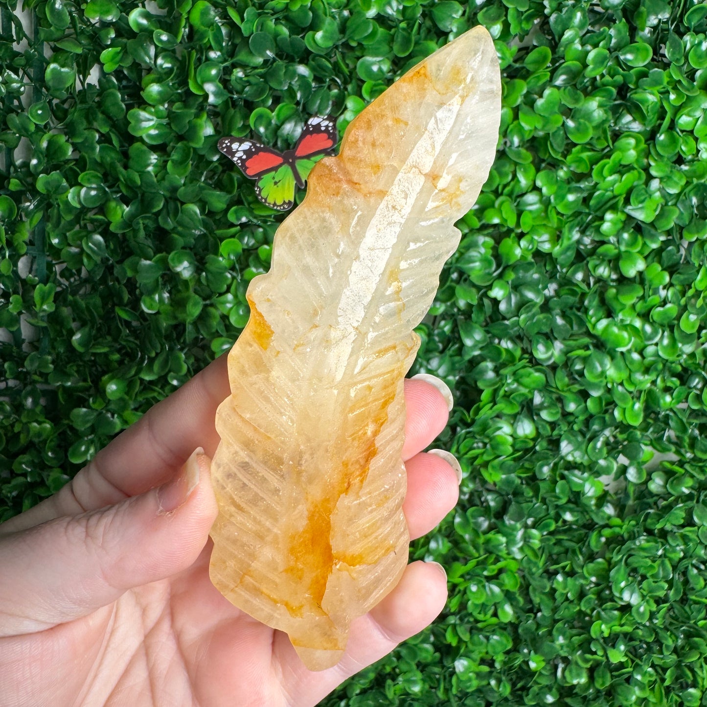 Golden healer feather