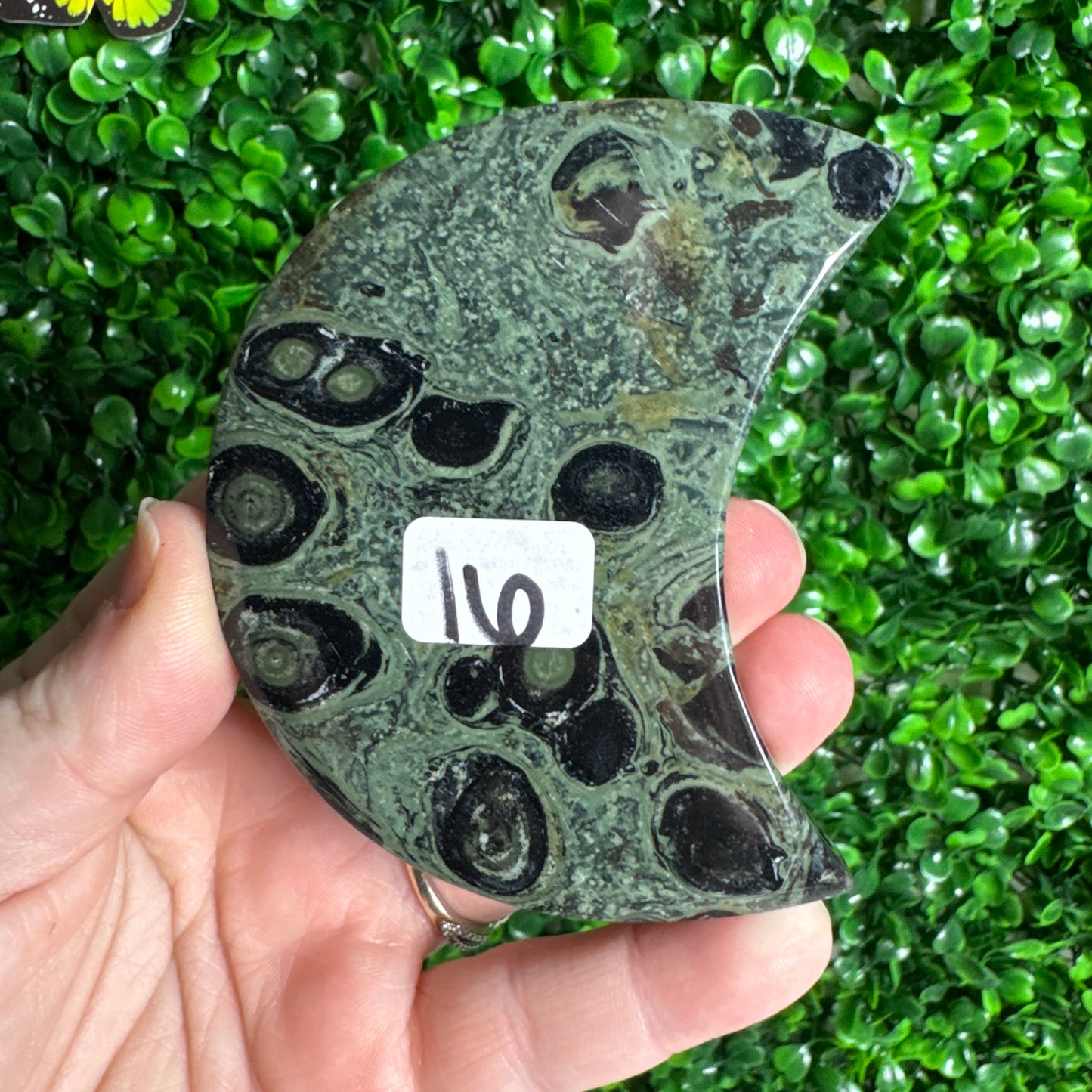 Kambaba Jasper Moon Carvings