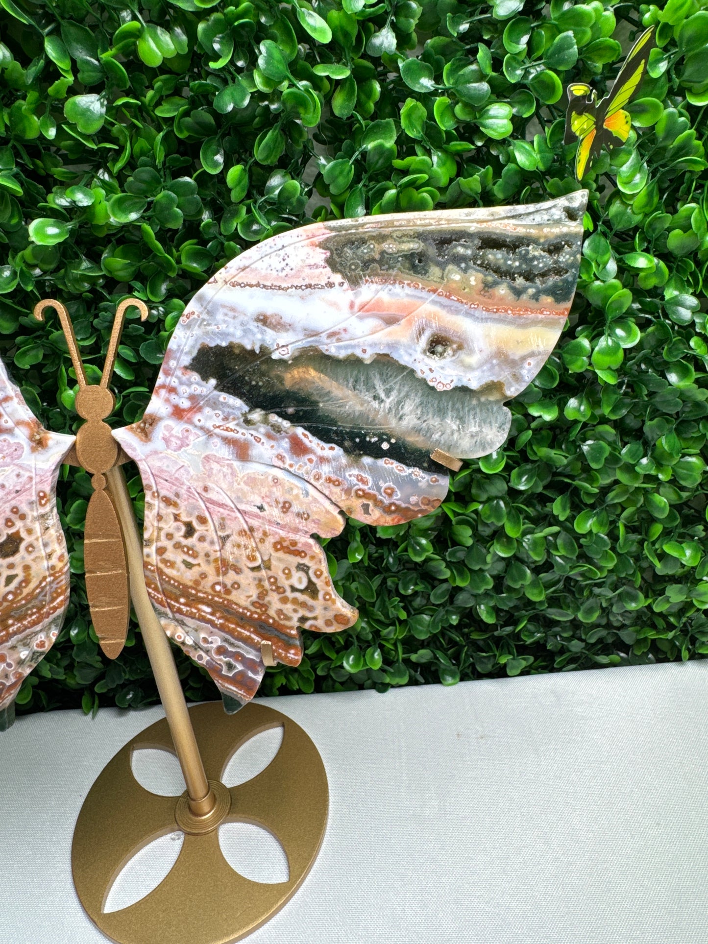 Statement Sea Jasper Wings Carvings