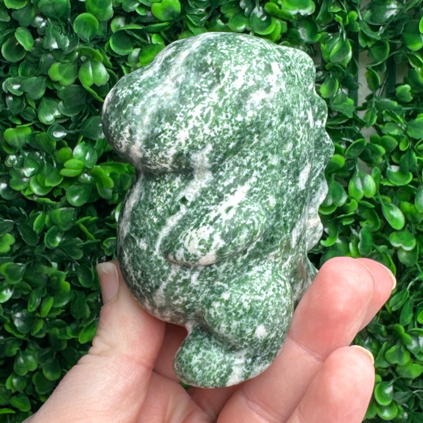 Large Tree Agate Chubby Dino