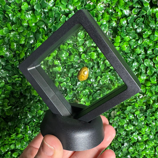 Sea Jasper Cabochon