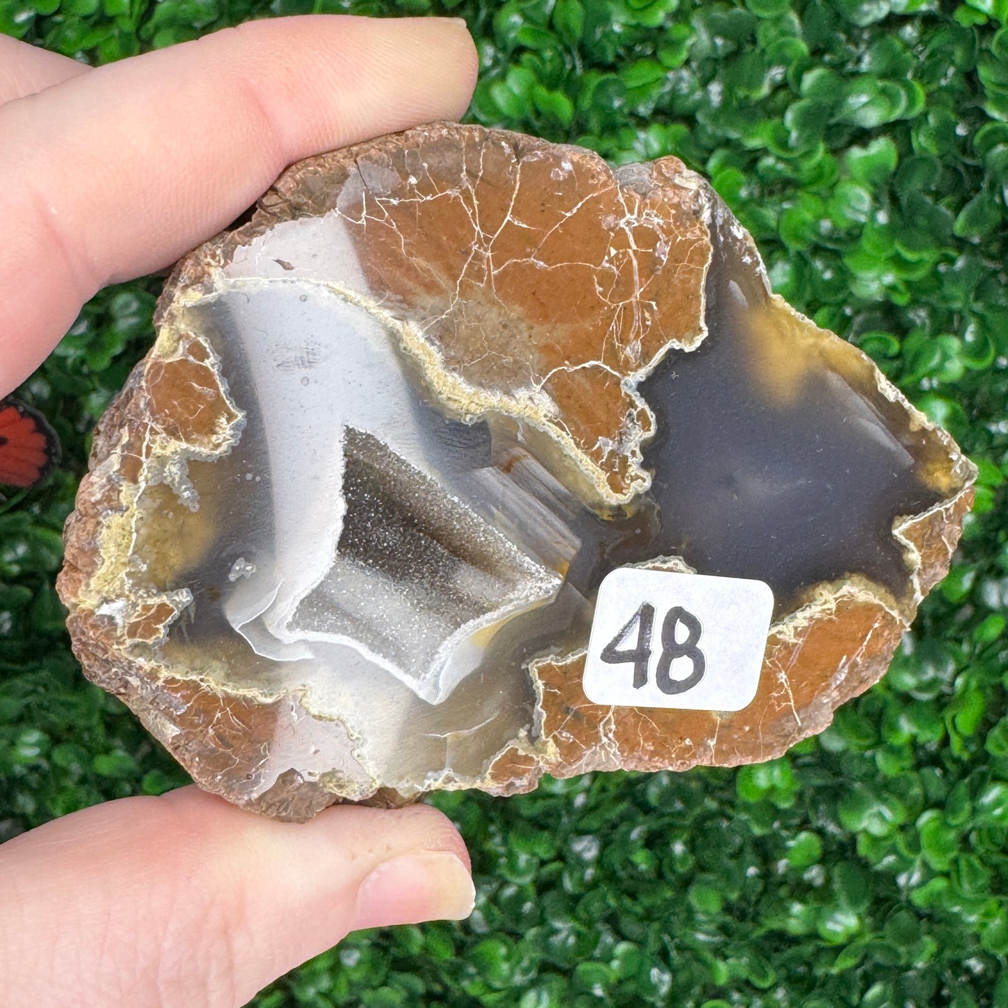 ThunderEgg from Oregon