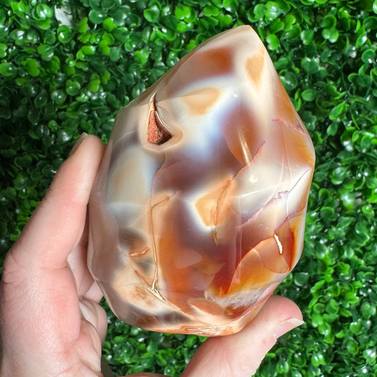 Carnelian Orca Flame