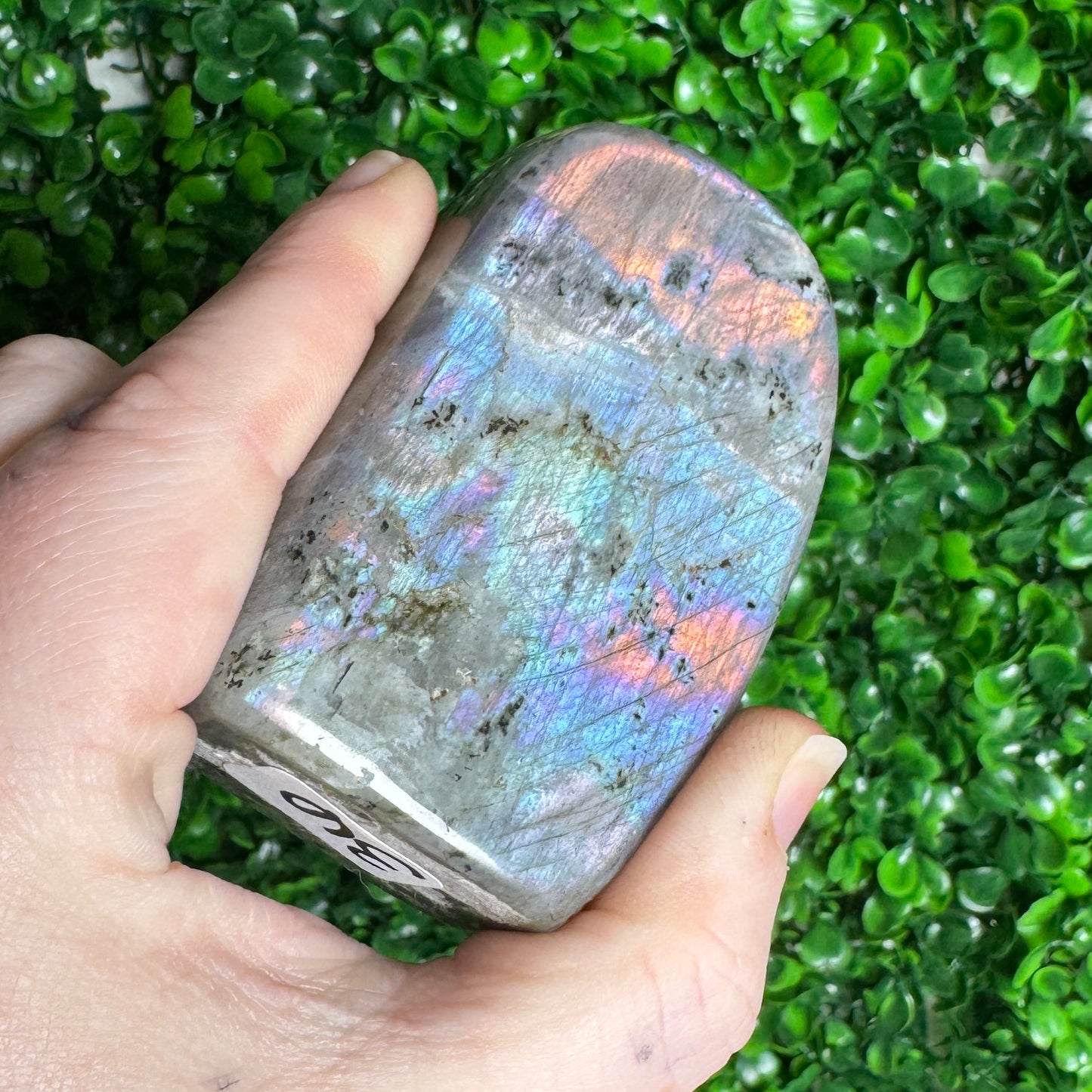 Labradorite Freeform 36