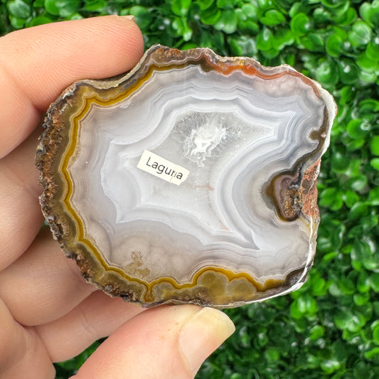 Laguna Agate