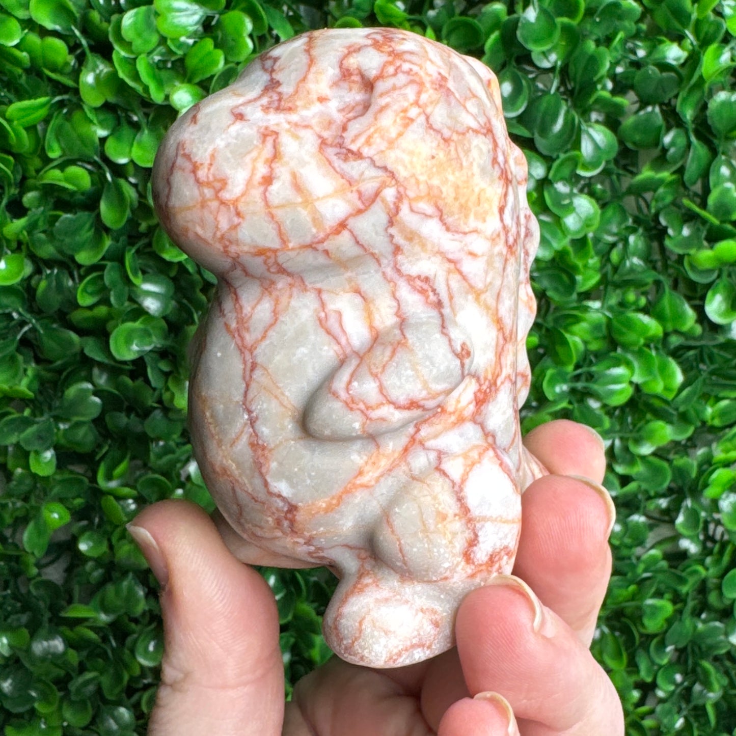 Large red vein chubby Dino carving