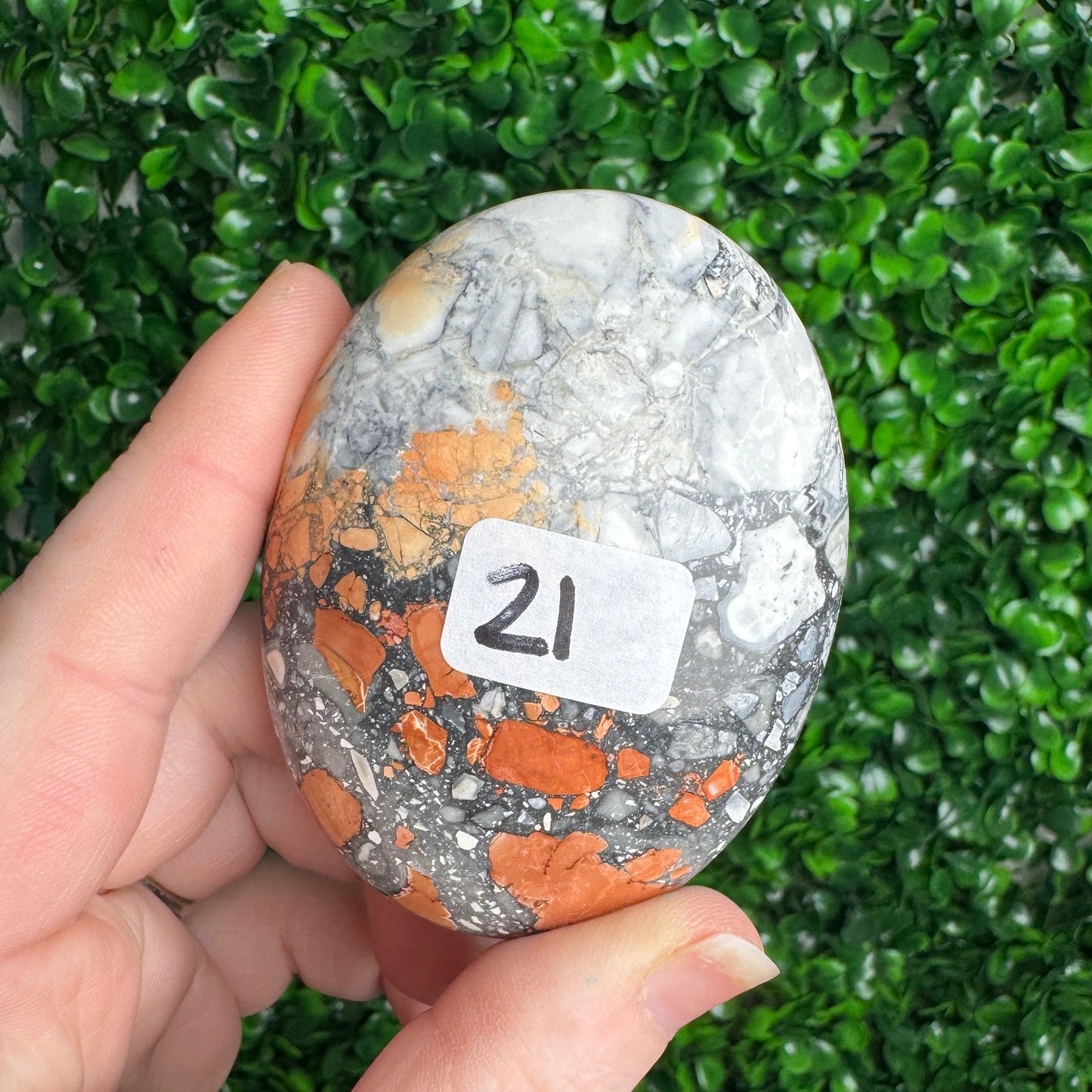 Maligano Jasper Palmstones