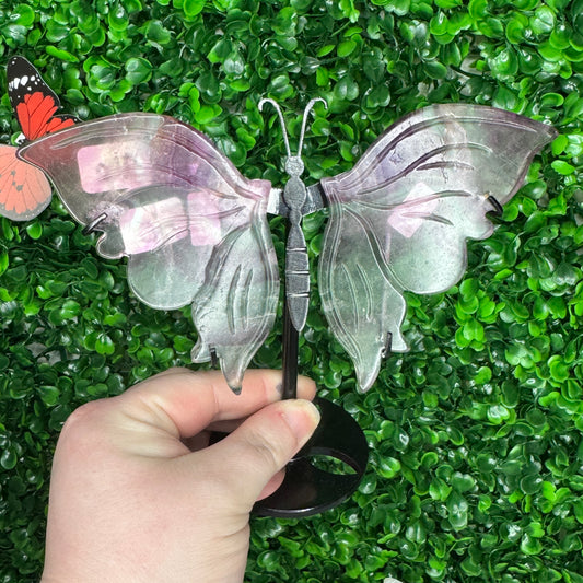 Discounted Fluorite Butterfly wings