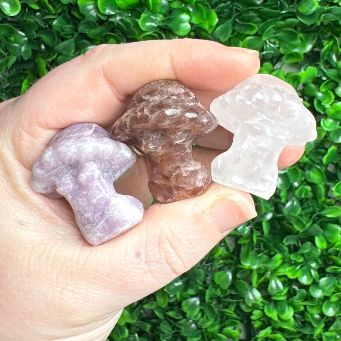 Mini Muhsroom Lady bodies