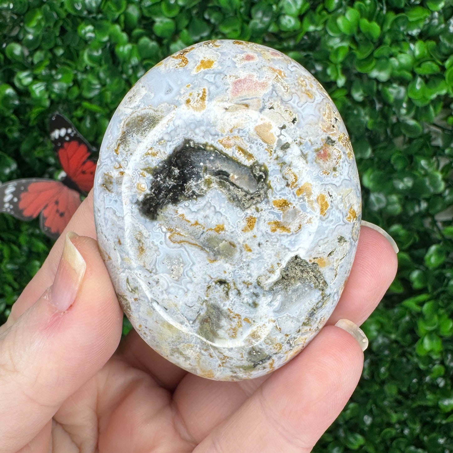 Sea Jasper Palm Stones