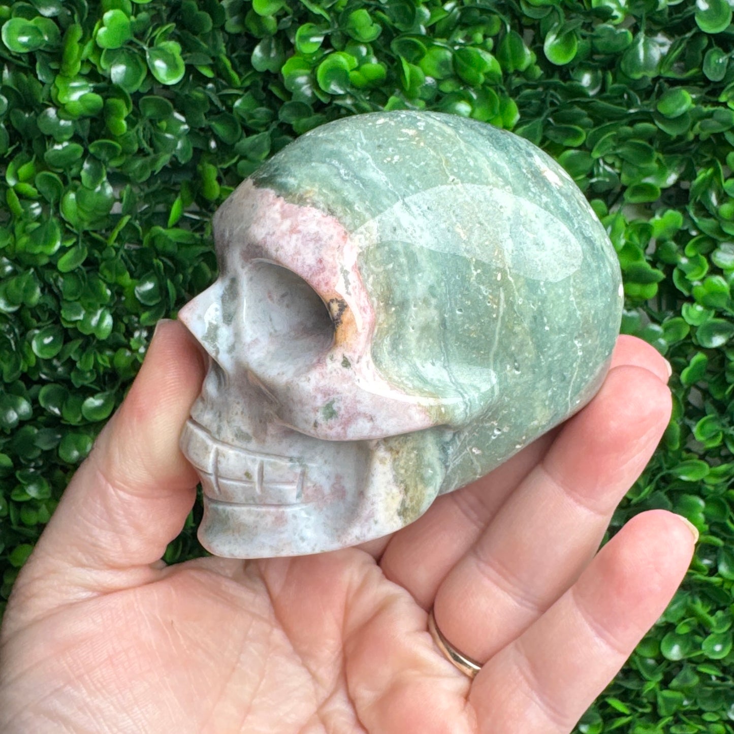 Sea Jasper Skull