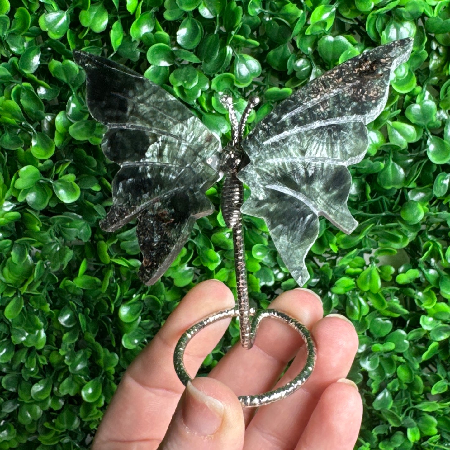 Seraphinite Wings