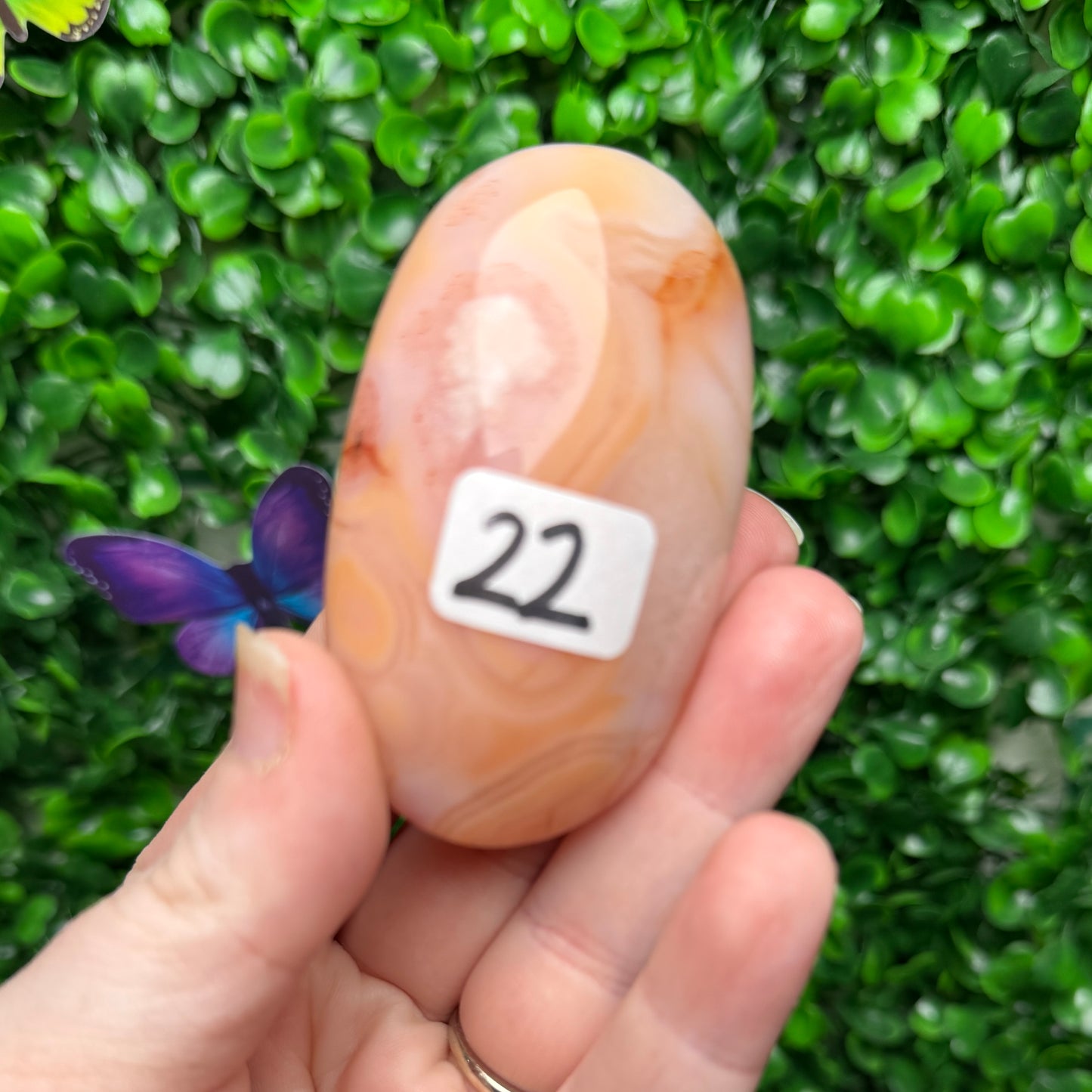 Carnelian Palm Stone