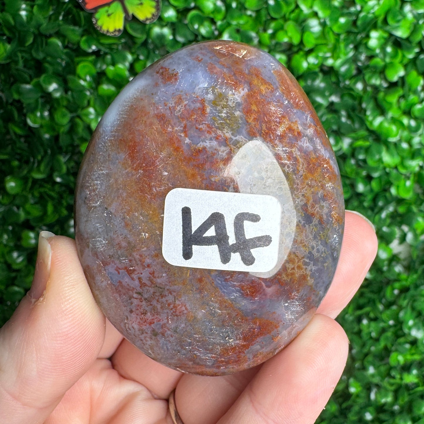 Sea Jasper Palm stones