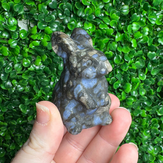 Que sera Rabbit Carving