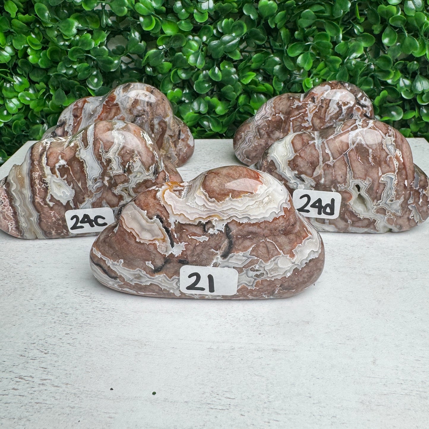 Sangria Lace Cloud Carving