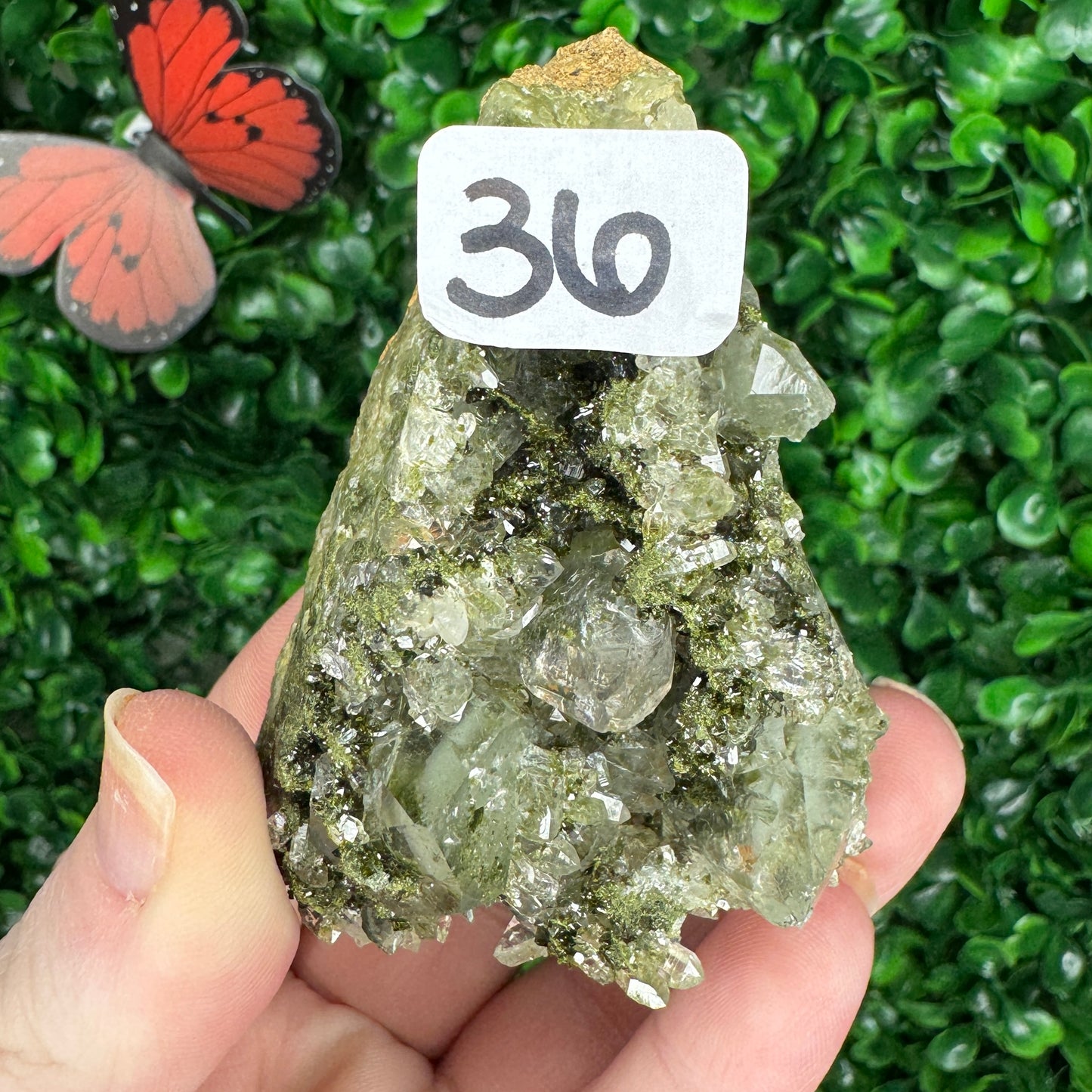 Epidote with Quartz from Turkey