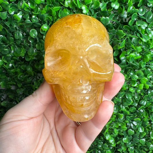 Golden healer Skull
