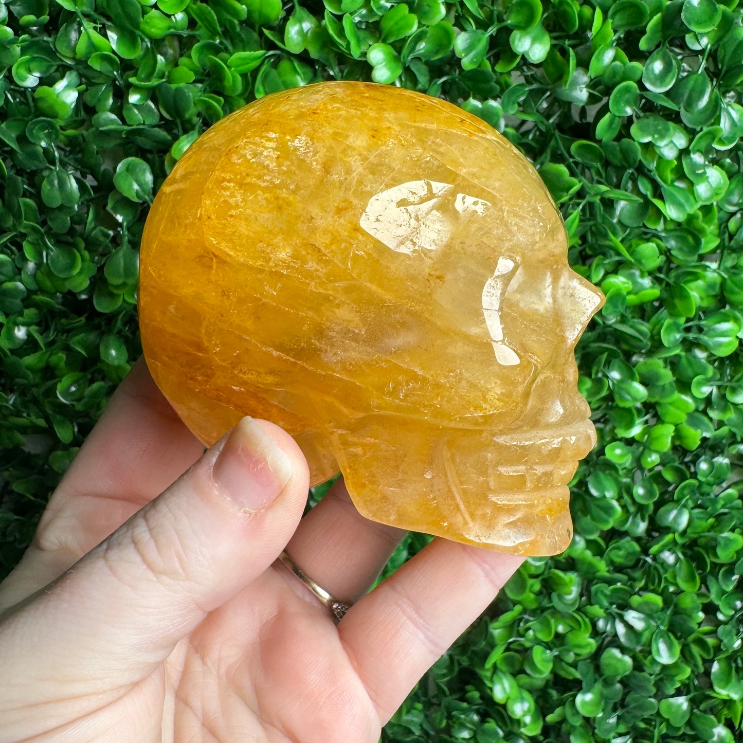 Golden healer Skull