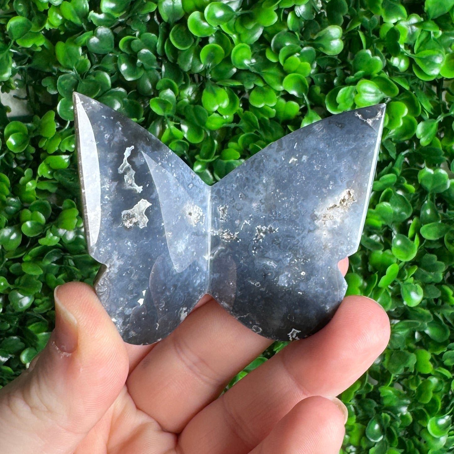 3D Blue Plume Agate Butterflies