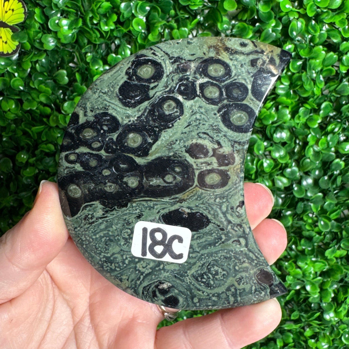 Kambaba Jasper Moon Carvings