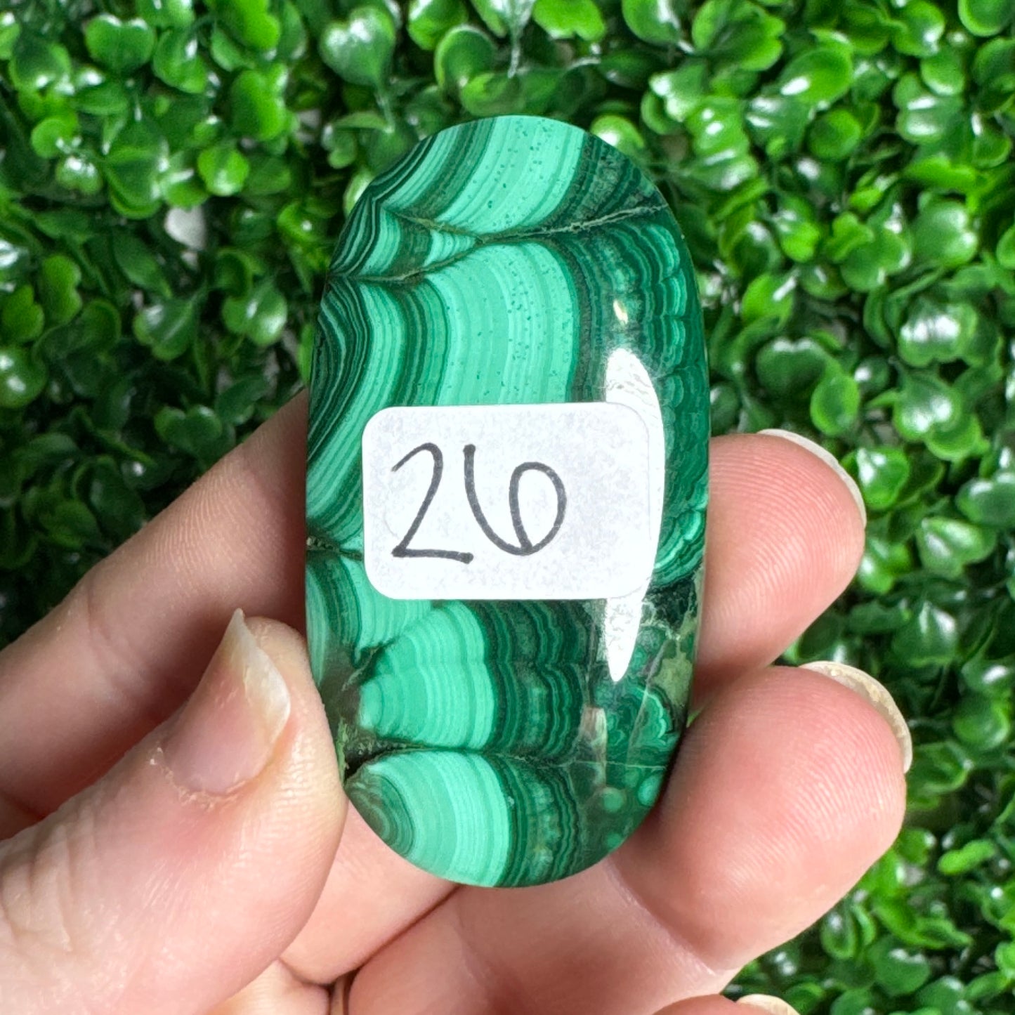 Malachite Palm Stones