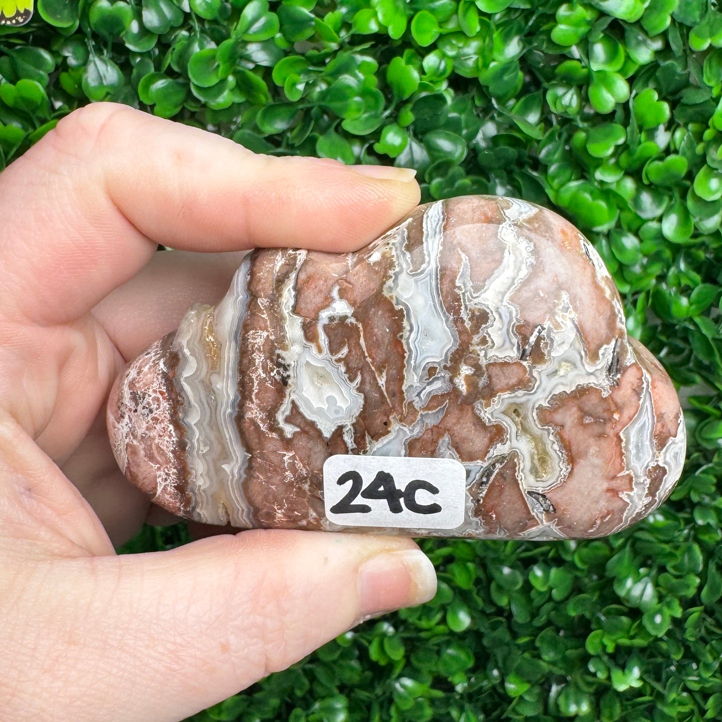 Sangria Lace Cloud Carving