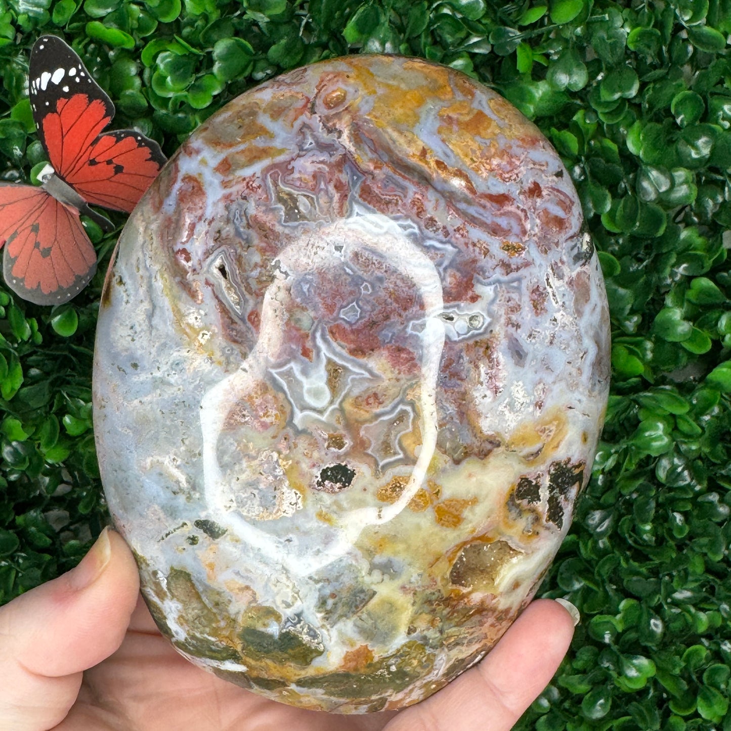 Sea Jasper Freeform