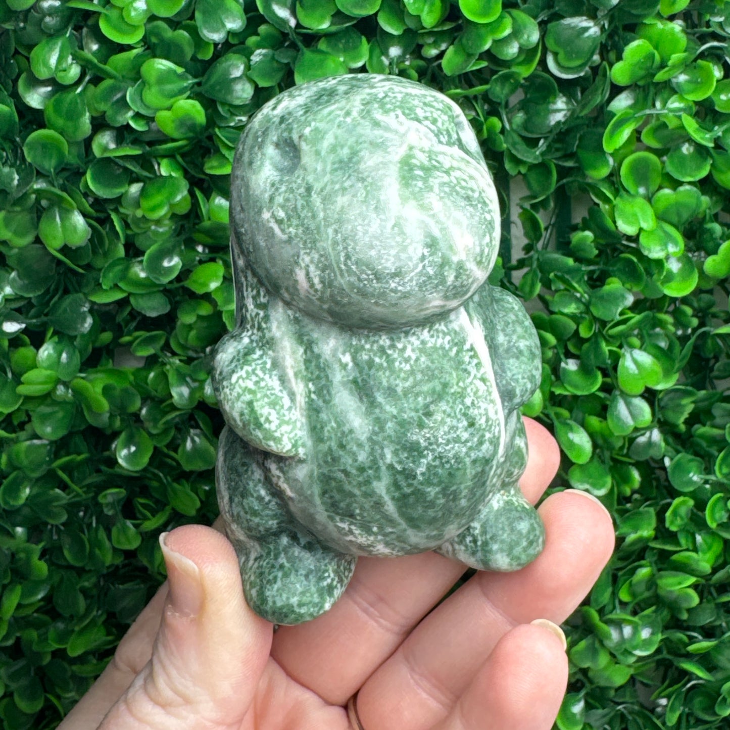 Large Tree Agate Chubby Dino