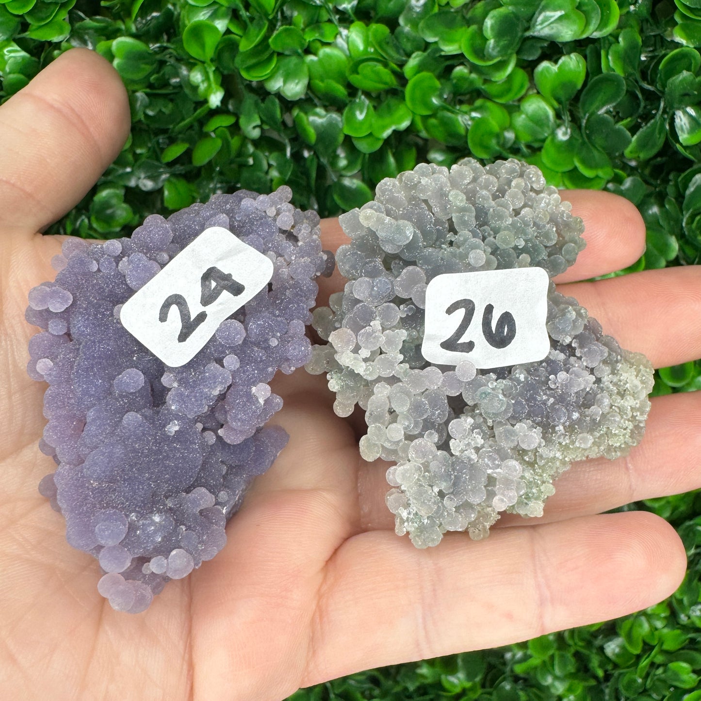 Grape Agate Specimens