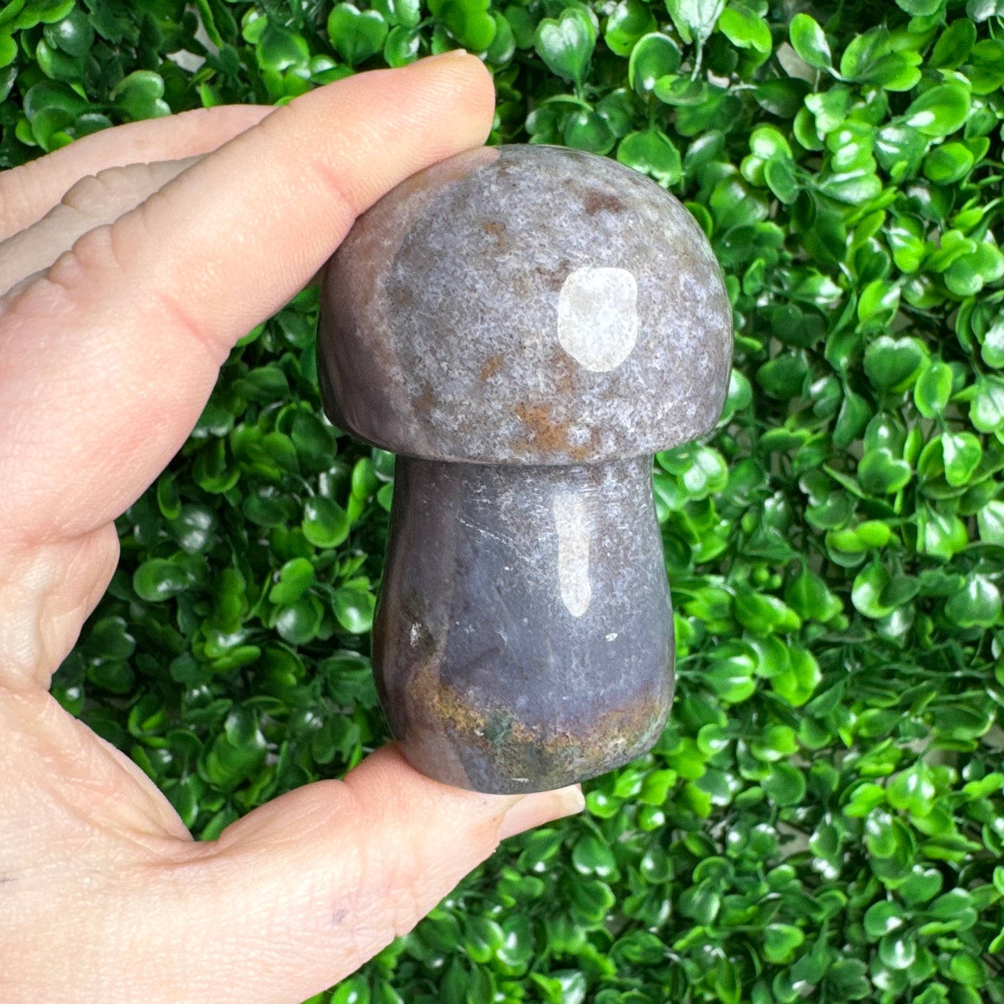 Sea Jasper mushroom Carvings