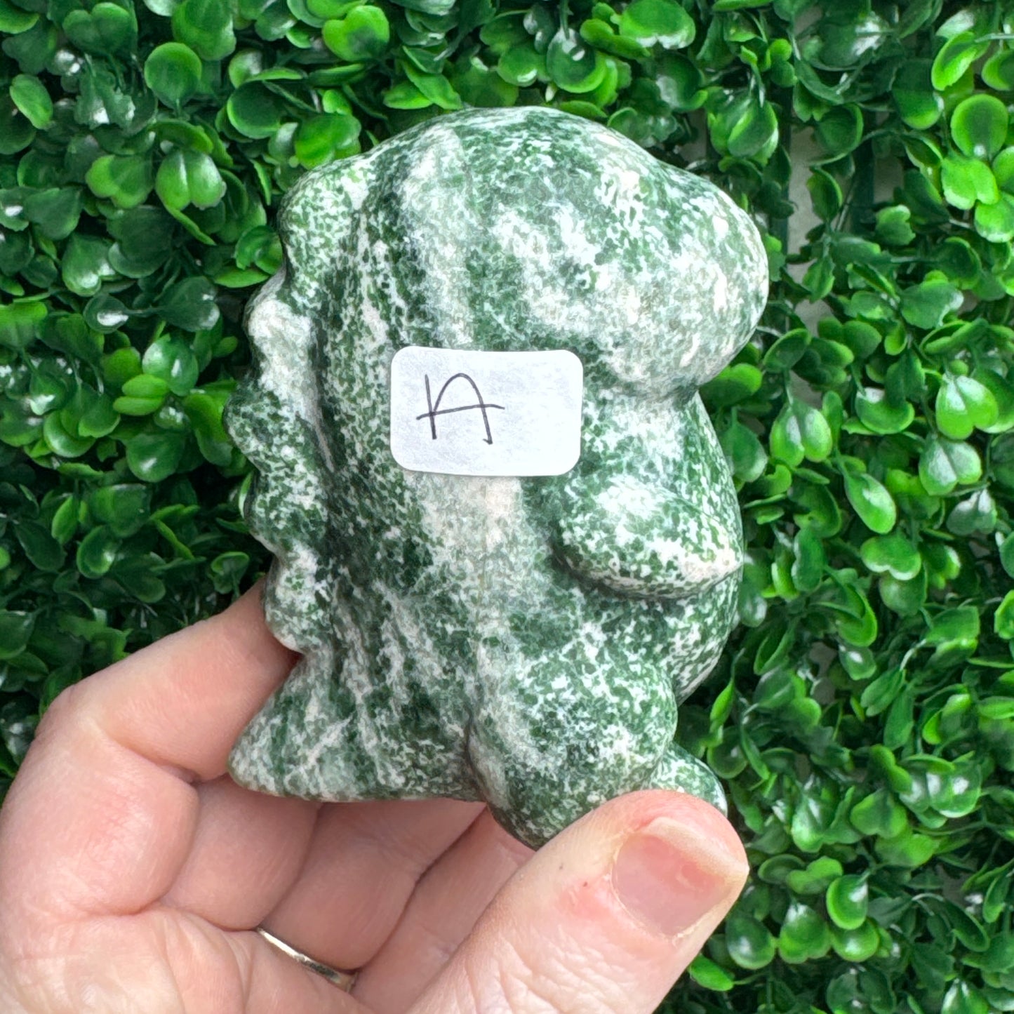 Large Tree Agate Chubby Dino