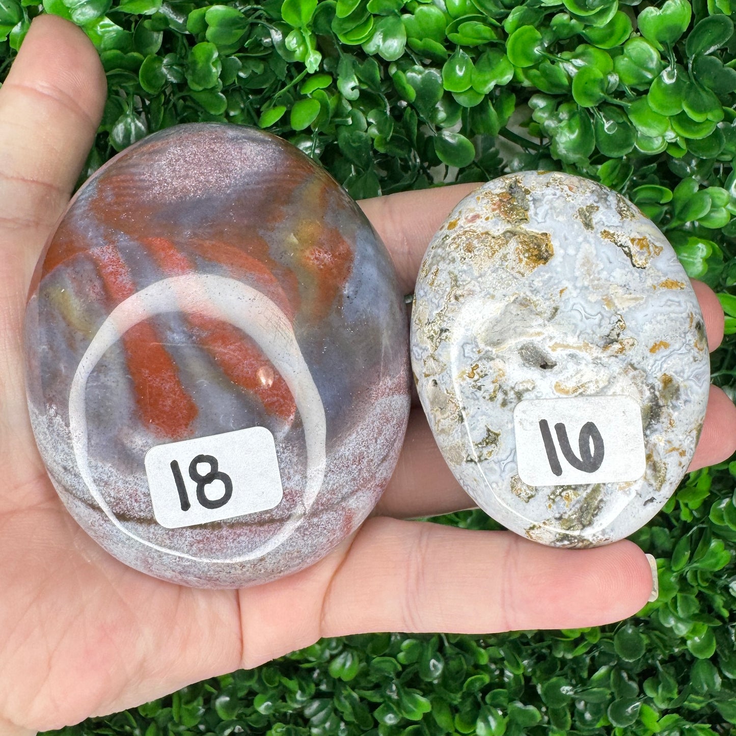 Sea Jasper Palm Stones