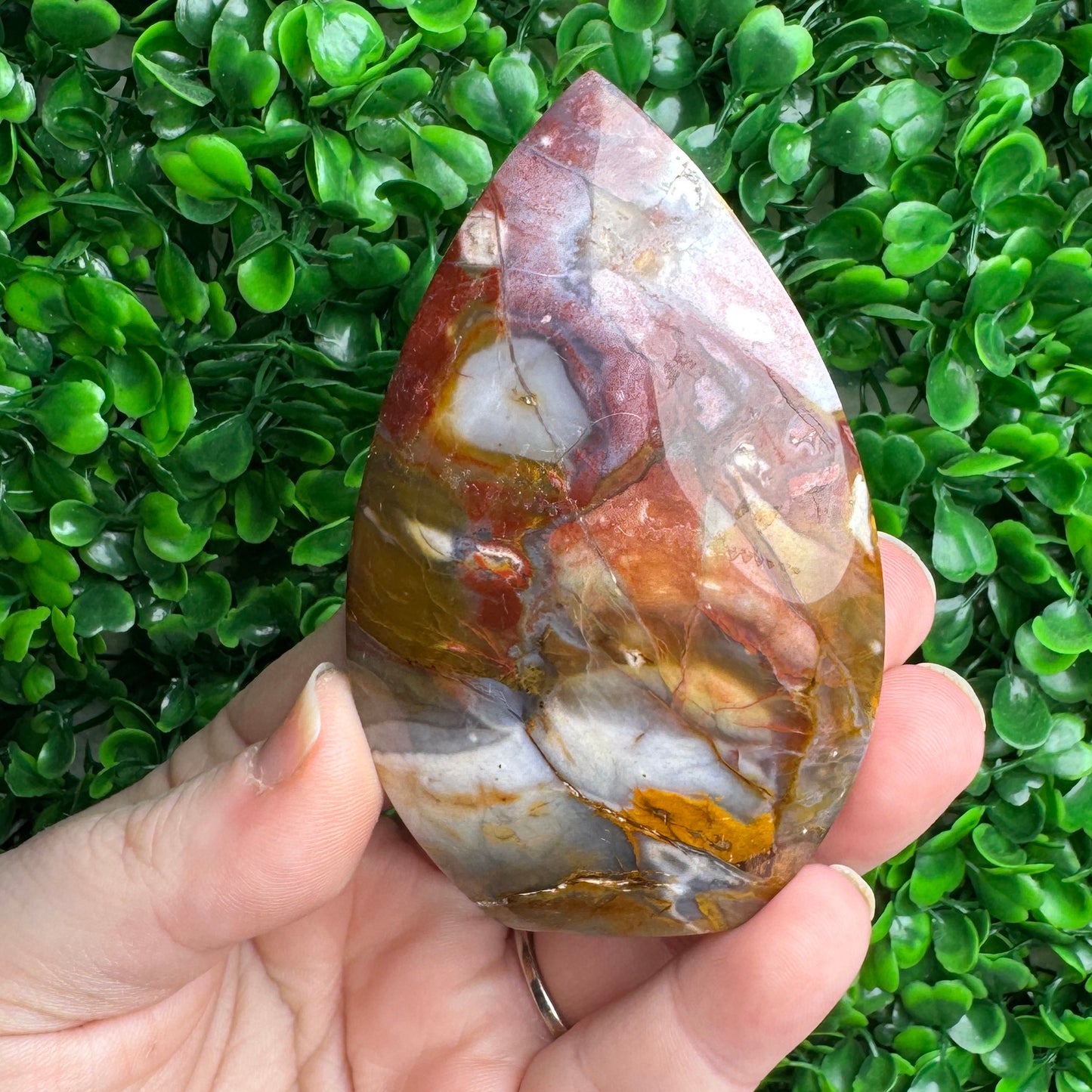 Cherry creek Jasper Freeform
